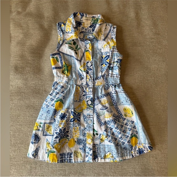 Crewcuts by J.Crew Girls Dress Size 3 – Blue Yellow Lemon Tile Print - Picture 2 of 9